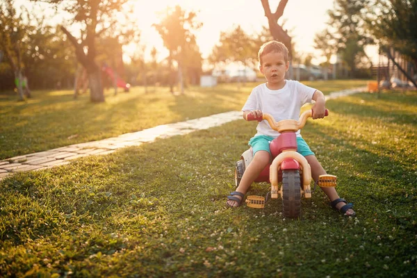 Ein Kleiner Junge Genießt Einem Schönen Sonnigen Tag Das Fahrradfahren — Stockfoto