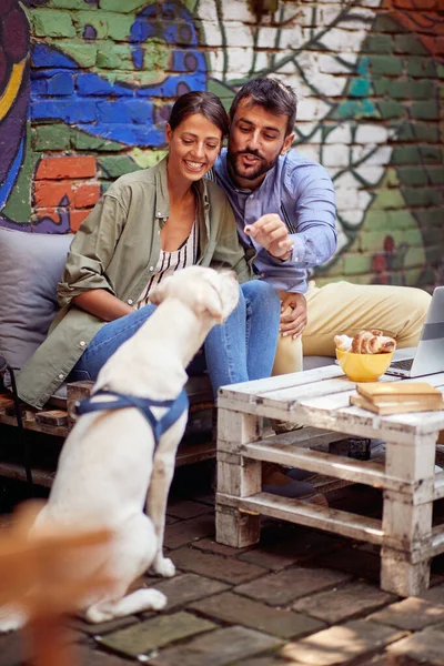 Jovem Casal Gosta Alimentar Seu Cão Enquanto Bebe Uma Bebida — Fotografia de Stock