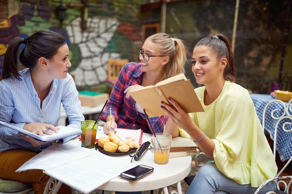 Grupo Estudiantes Femeninas Que Realizan Tareas Universitarias Mientras Sientan Toman — Foto de Stock