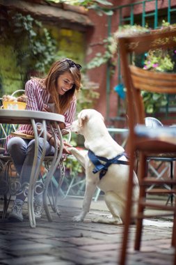 Genç kız güzel bir günde köpeğiyle barın bahçesinde iyi vakit geçiriyor. Boş zaman, bar, arkadaşlık, açık hava.