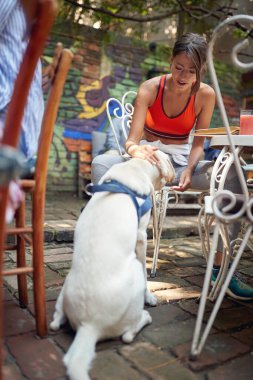 Barda keyifli bir atmosferde eğlenirken köpeğine sarılan genç bir kız. Boş zaman, bar, açık hava, arkadaşlık.