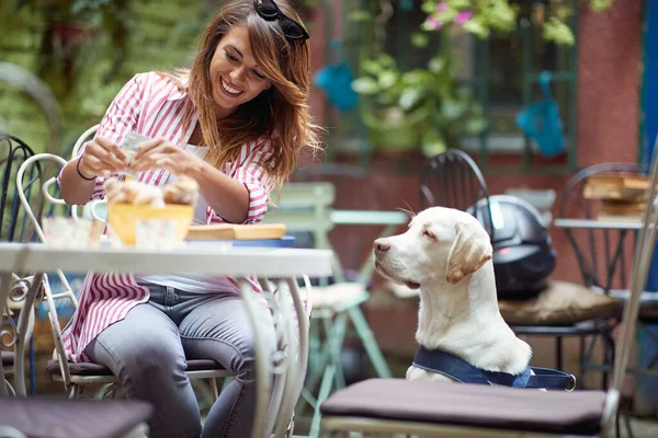 Schöne Junge Kaukasische Erwachsene Rotschopf Amüsiert Von Ihrem Hund Konzentriert — Stockfoto