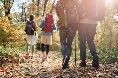 Ormanda yürüyüşçüler güzel bir sonbahar gününde