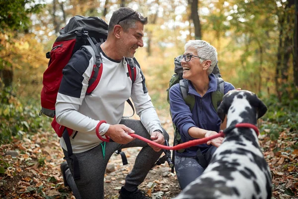 An elderly hikers couple and their dog enjoying a hike on a beautiful autumn day