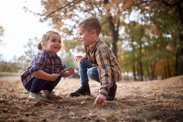 Hermano Pequeño Hermana Disfrutando Explorar Suelo Bosque Hermoso Día Otoño — Foto de Stock