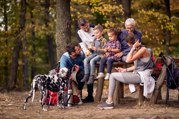 Szczęśliwa Rodzina Ich Pies Cieszą Się Lesie Piękny Dzień — Zdjęcie stockowe
