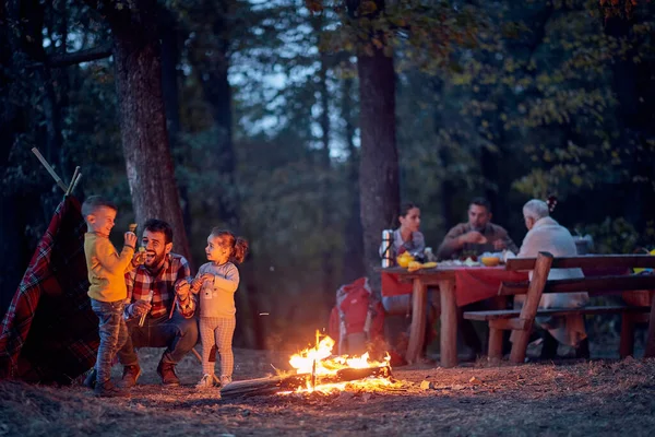 Mutlu Bir Aile Kamp Ateşi Etrafında Güzel Bir Sonbahar Alacakaranlığının — Stok fotoğraf