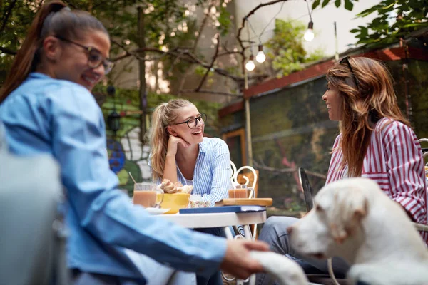 Grupo Tres Jóvenes Adultos Hermosas Amigas Caucásicas Sentadas Cafetería Aire — Foto de Stock