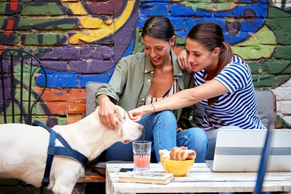 Zwei Junge Erwachsene Kaukasische Freundinnen Sitzen Einem Café Freien Lächeln — Stockfoto