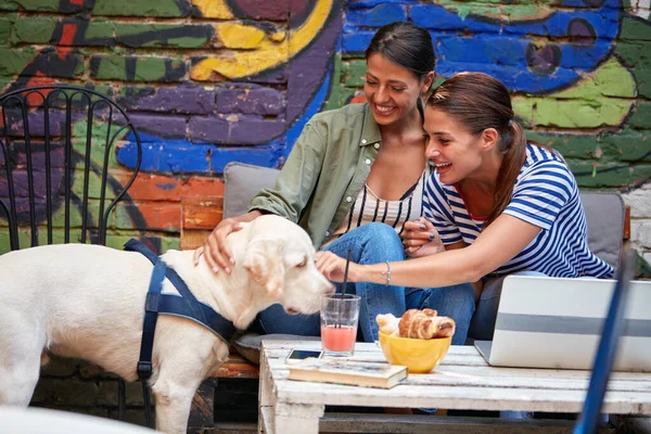 Två Vackra Kvinnliga Studenter Njuter Ett Sällskap Hund Trevlig Atmosfär — Stockfoto