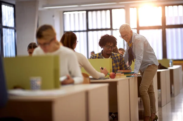 Vrouwelijke Hoogleraar Legt Les Uit Aan Een Student Tijdens Een — Stockfoto