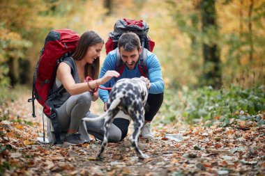 Yürüyüşçüler yürüyüş yolunda köpeklerine sarılırlar.