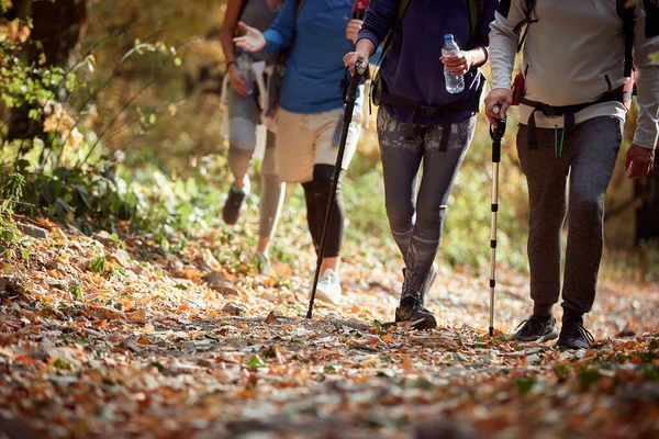 Hikers Walking Trail Woods — Stock Photo, Image
