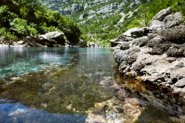 Landschap met rivier en stenen — Stockfoto