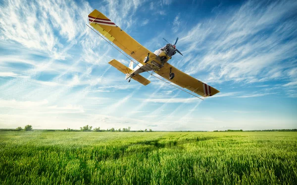 Agricultura — Fotografia de Stock