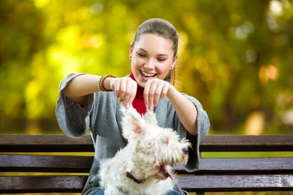 Flicka som leker med sin hund i höst park — Stockfoto