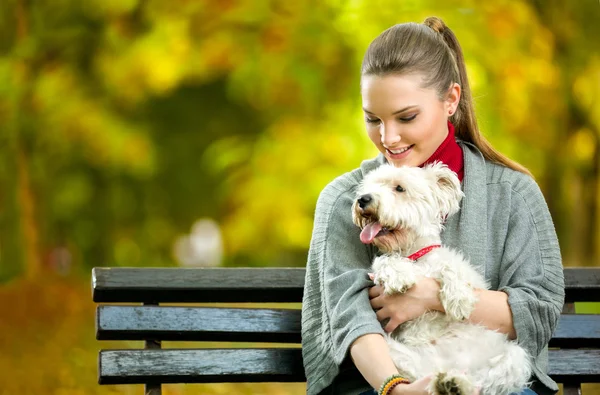 Jeune femme tenant chien maltais mignon — Photo