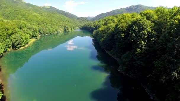 AERIAL: Політ над озером з лісом навколо — стокове відео