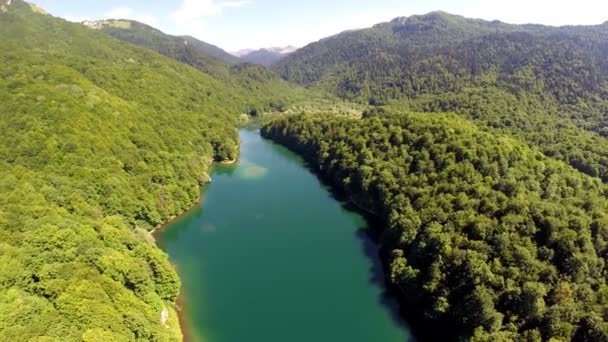 AERIAL: Flyg över sjö med skog runt — Stockvideo