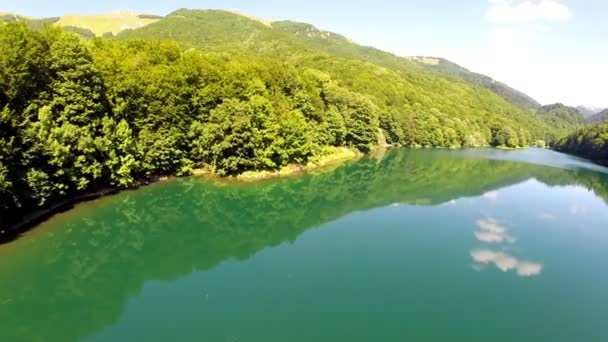 AERIAL: Полет над озером с лесом вокруг — стоковое видео