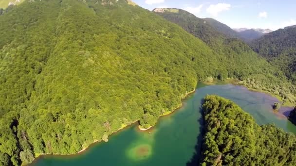 AERIAL: Vuelo sobre el lago con bosque alrededor — Vídeos de Stock