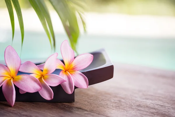 Spa and wellness background — Stock Photo, Image