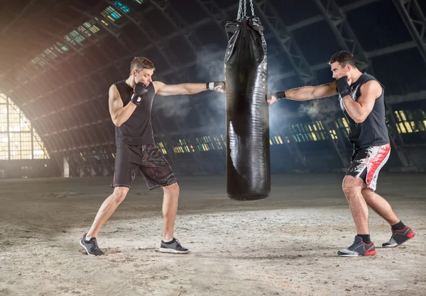 Два боксера — стоковое фото