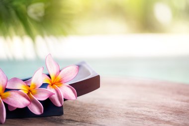 Frangipani tropikal spa çiçek