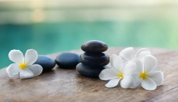 White frangipani with black stones — Stock Photo, Image