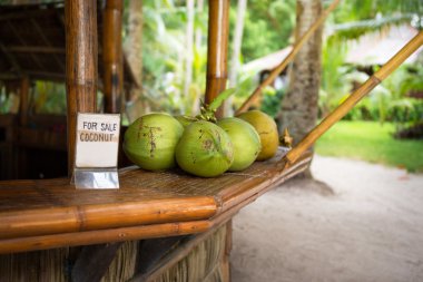 sale of fresh green coconuts
