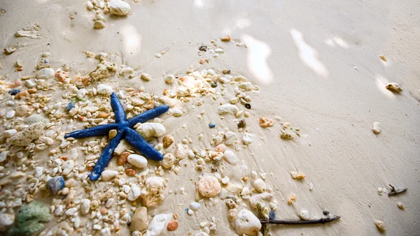 Starfish on the shore is driven waves — Stock Photo, Image