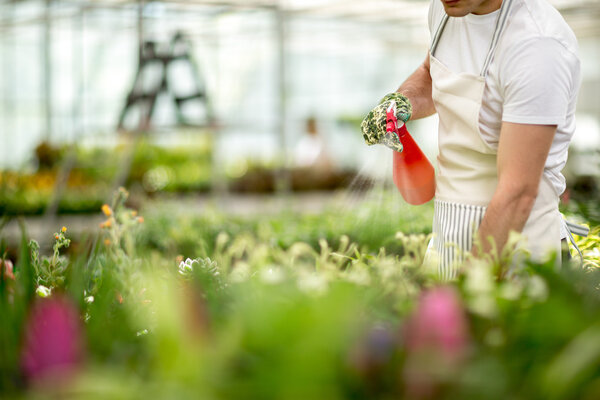 Полив цветов на столах
