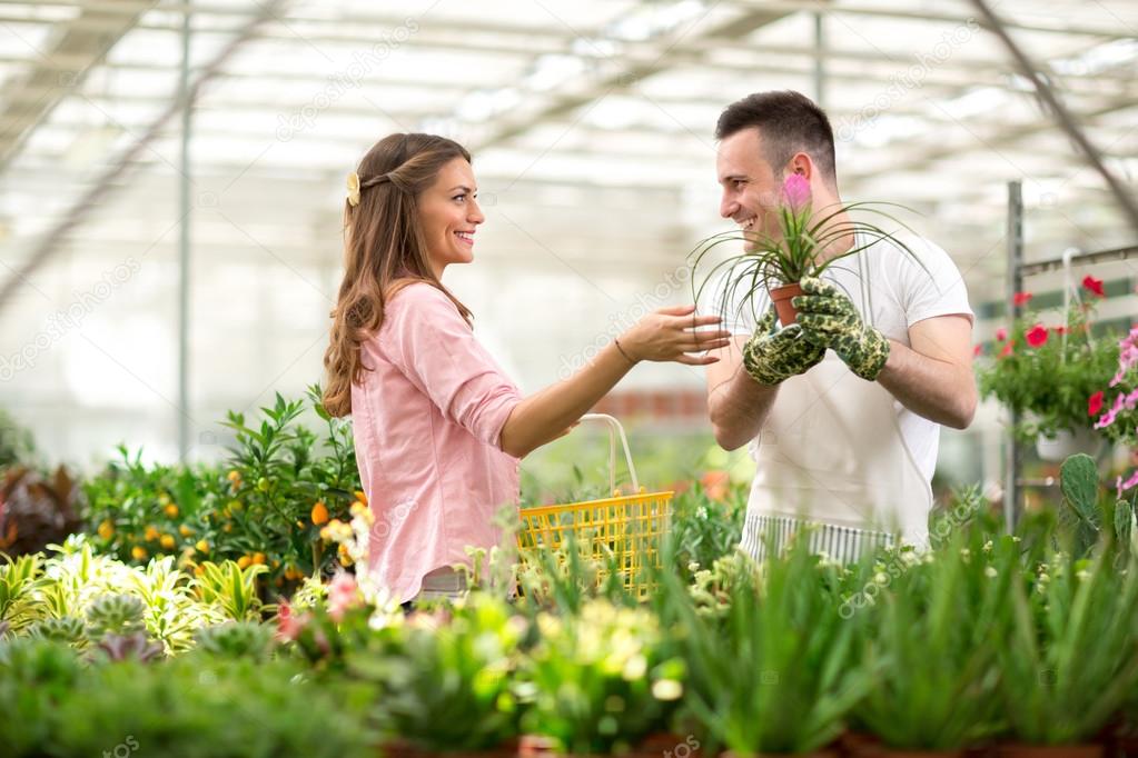 Seller recommend flowers in greenhouses
