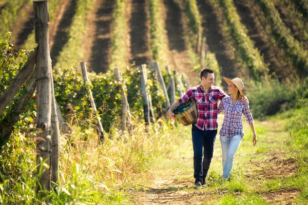 Paar van wijnbouwers wandelen in wijngaard — Stockfoto