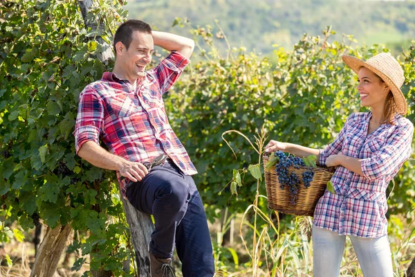 Mladý pár, kteří požívají v vinice — Stock fotografie