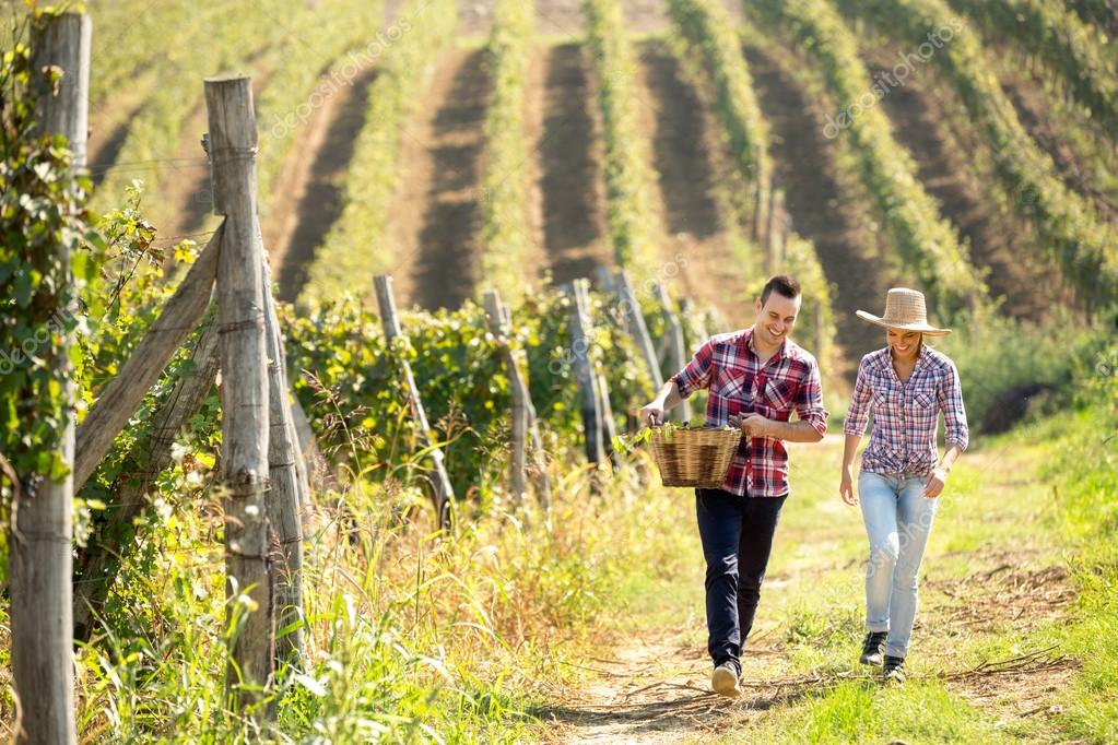 Mature Hispanic Couple Visiting A Vineyard High