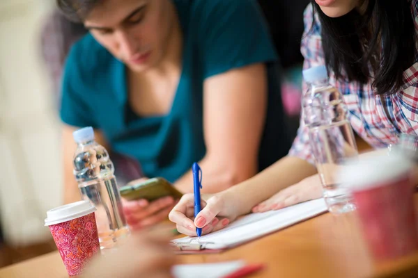 Estudante escrevendo sua tarefa — Fotografia de Stock