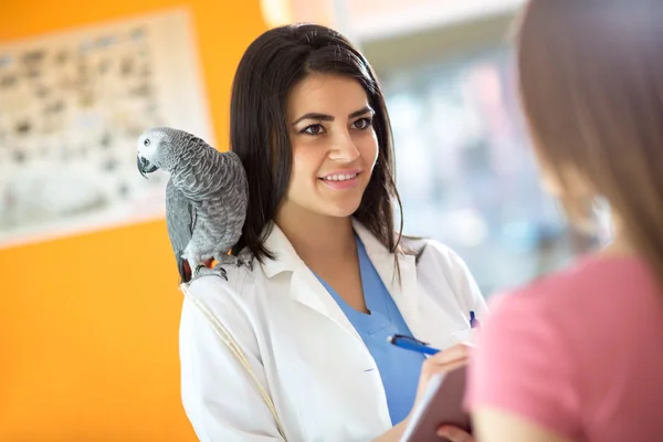 Veterinário diagnosticando problemas com papagaio doente na clínica veterinária — Fotografia de Stock