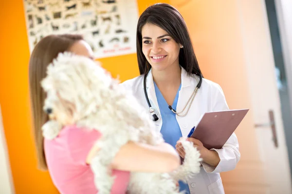 Veterinário aconselhando uma menina sobre seu cão maltês na clínica veterinária — Fotografia de Stock