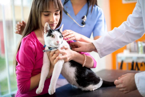 Lány ölelést és a kényelem a macska, állat-egészségügyi ambuláns — Stock Fotó