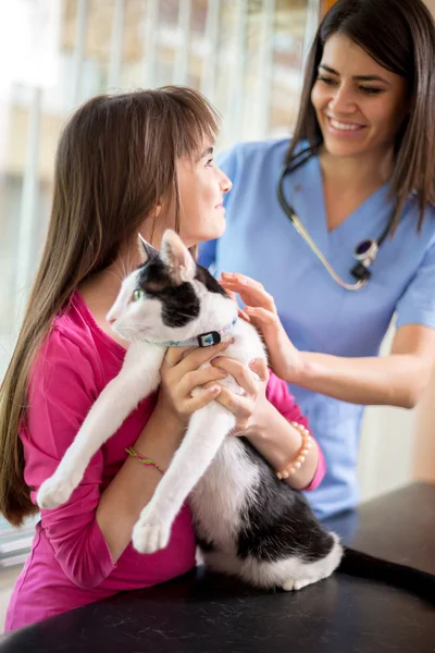 Chica calmar a su gato enfermo en clínica veterinaria — Foto de Stock