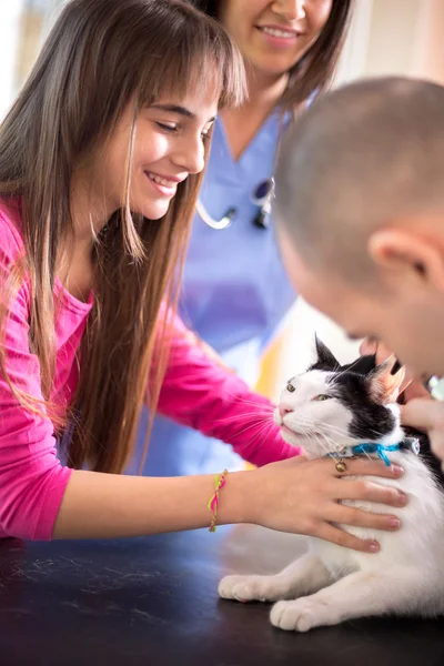 Chica calmar a su gato enfermo en clínica veterinaria — Foto de Stock