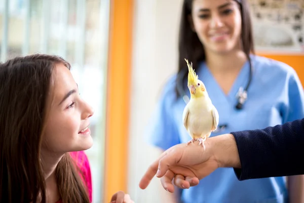 Proprietário com seu animal de estimação no veterinário ambulante — Fotografia de Stock