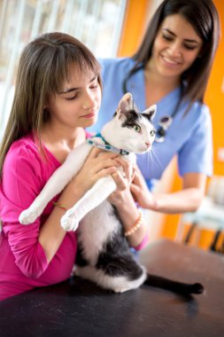Meraklı kedi izlerken veteriner ayakta