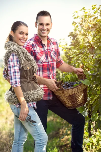 Веселий winegrower пара — стокове фото