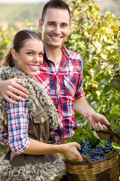 Jovem casal sorridente na vinha — Fotografia de Stock