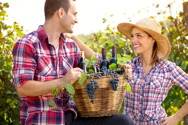 Couple of winegrowers in vineyard — Stock Photo, Image