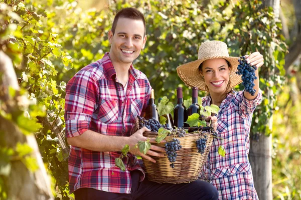 Successful couple winegrower — Stock Photo, Image