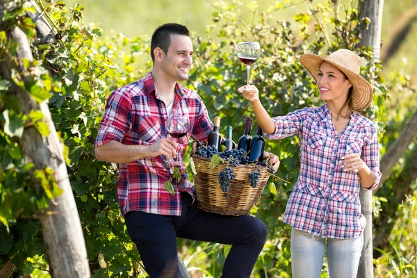 Winzer überprüfen Qualität des Weins — Stockfoto
