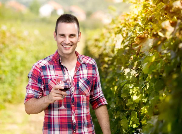 Viticultor masculino com copo de vinho — Fotografia de Stock